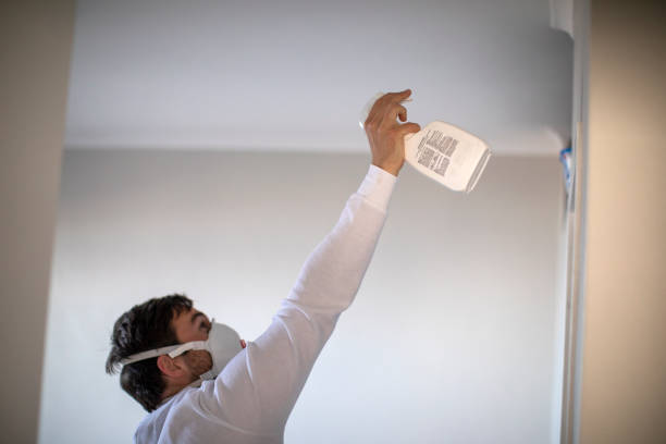 Best DIY Mold Remediation Support Services in Essex, IL