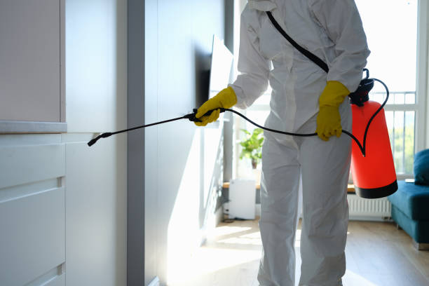 Best HVAC Mold Remediation in Essex, IL