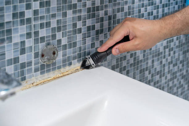 Best Localized Mold Remediation (e.g., coastal areas, humid climates) in Essex, IL